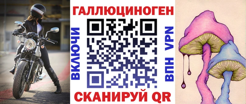 блэк спрут как войти  цена   Палласовка  Псилоцибиновые грибы GOLDEN TEACHER 